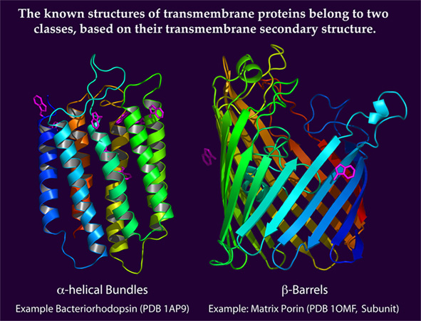 Joerg Kleinschmidt - Membrane Protein Examples